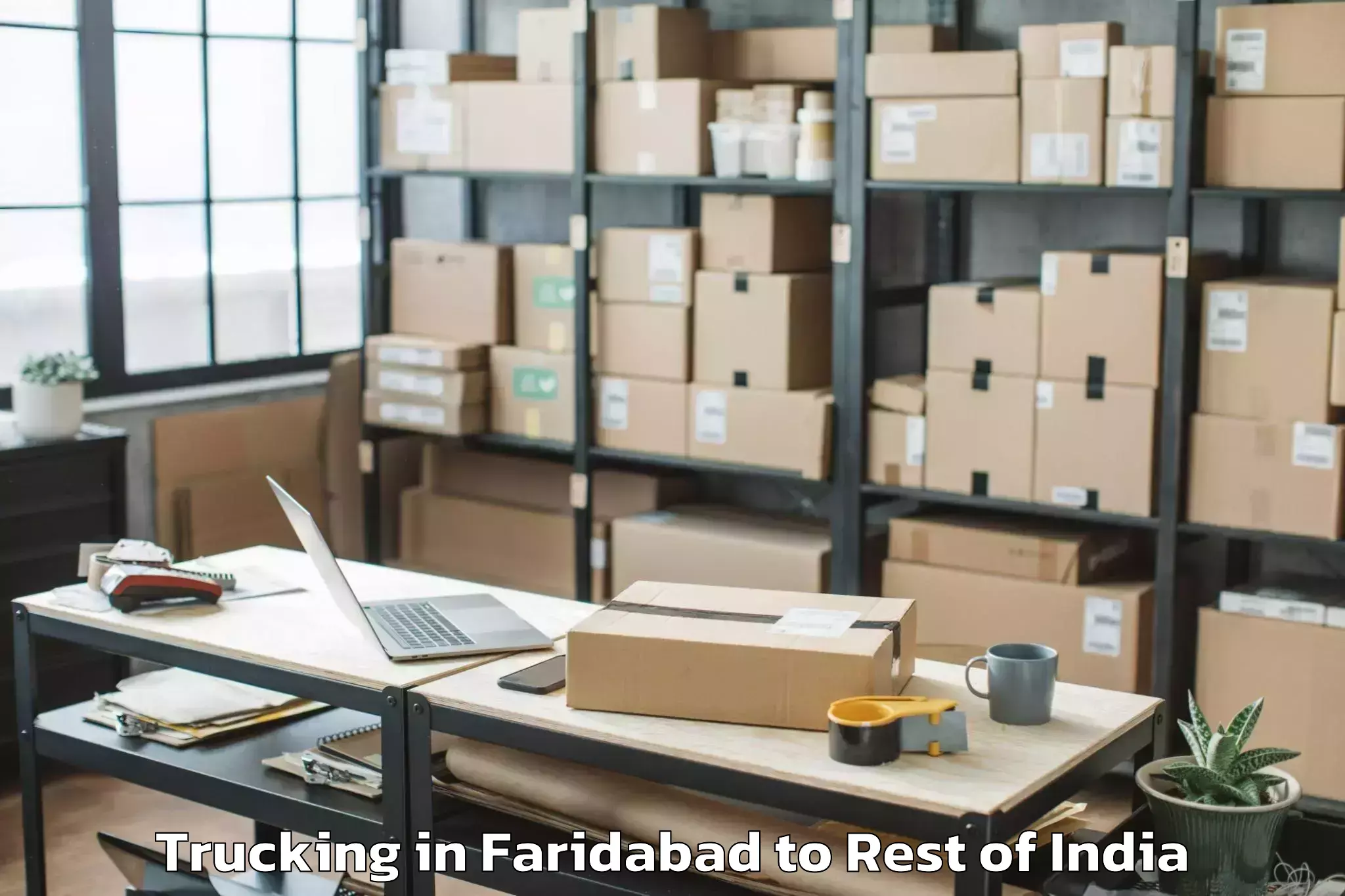 Discover Faridabad to Nallabelli Trucking